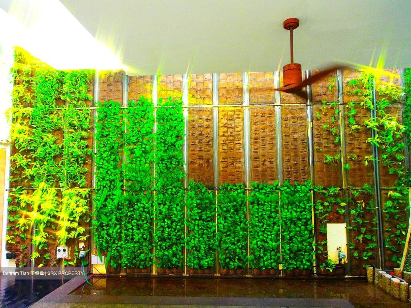 Jalan Elok (D9), Terrace #458974111